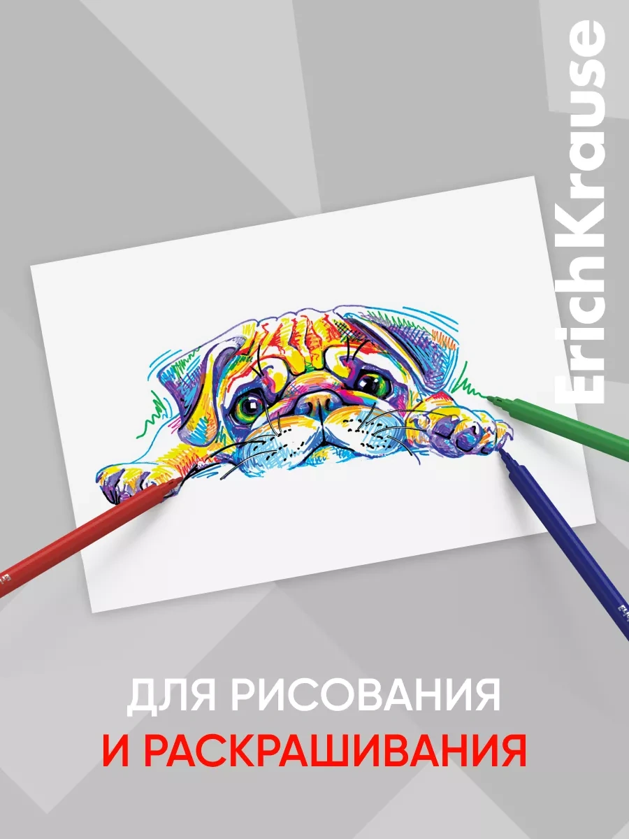 Erichkrause 12 Renkli Keçeli Kalem 21686331