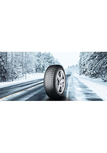 Dayton 205/55R16 91H DW510E Kış Lastiği 2025