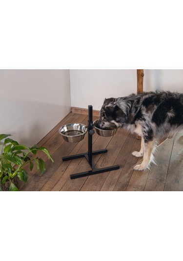 Beeztees Köpek İkili Mama Su Kabı, Ayaklı, Paslamaz Çelik, 25cm, 2x2,5l