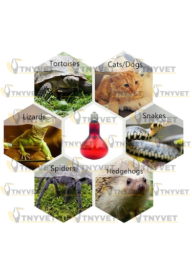 100 Watt Kızılötesi / Kırmızı Işık Isıtıcı Lambalar Sürüngenler,