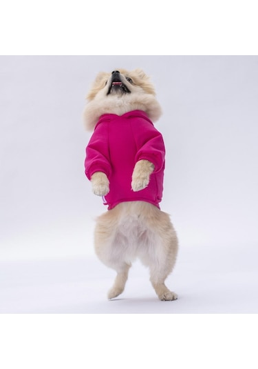 Pettrend Tavşan Kanguru Cepli Kedi-Köpek Hoodie Sweatshirt