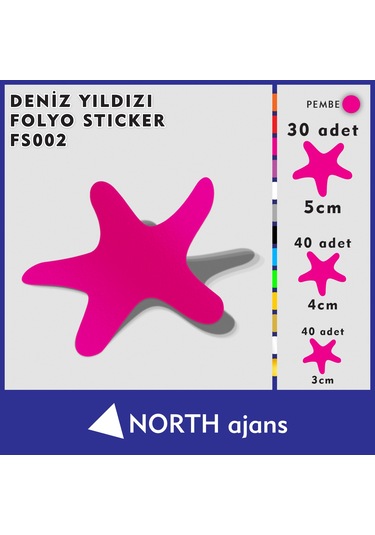 Deniz Yıldızı Folyo Duvar Sticklerı Pembe