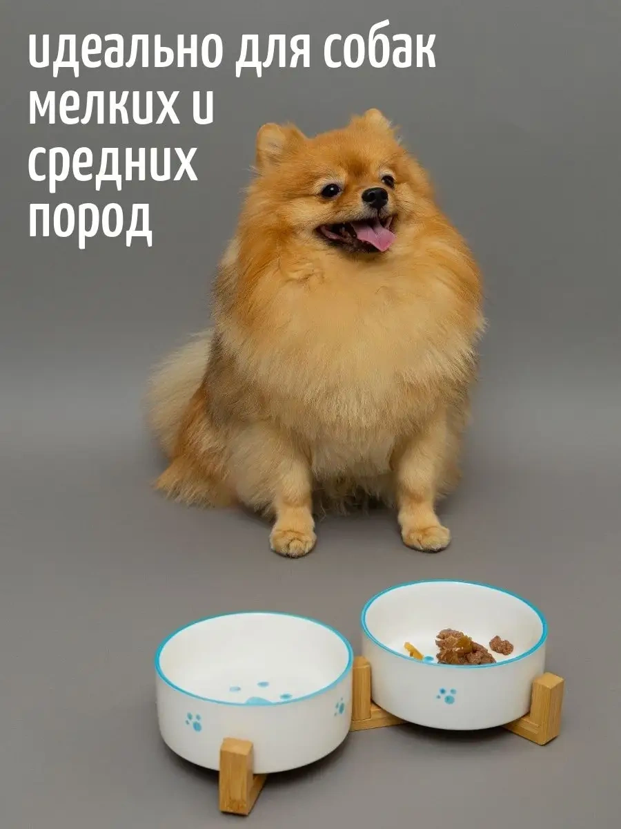 Tcallini Pets Devamlı Çift Kase 400 Ml 166286901