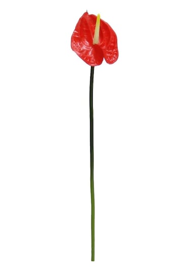 Yapay Antoryum Çiçeği Canlı Dokunuş Kırmızı 40 Cm-9974