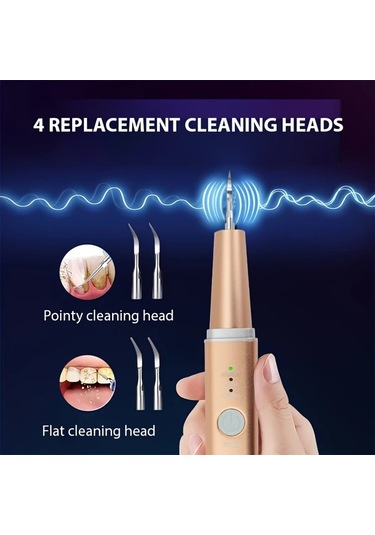 Willowhaven Golden Evde Kullanım İçin 3 Modlu 4 Metal Başlı Led Aydınlatmalı Elektrikli Diş Temizleyici Seti