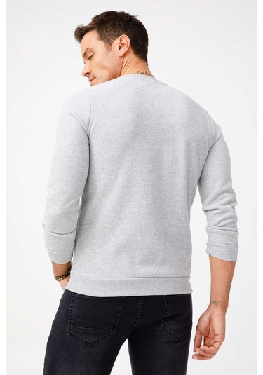 İgs Erkek Gri Standart Bisiklet Yaka Triko Gri