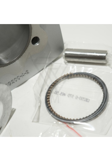 Cg 200 65.5 Mm 76 Mm 15 Pın Silindir Piston Gri 001