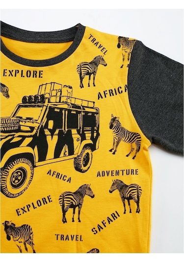 Denokids Mushi Explore Africa Erkek Çocuk Jogger Takım Çok Renkli