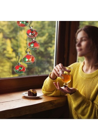 Pazly İlham Veren Rüzgar Çanları Sinek Kuşu Besleyicisi, Pencere Ve Bahçe Dekoru