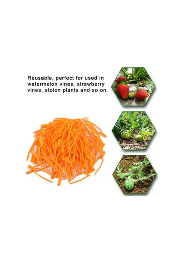 Ximistore9 100 Adet Tohumluk Bitki Sapı Sabitleyici Klip, Çilek-karpuz Tohumlukları İçin Dayanıklı Plastik Bahçe Aracı