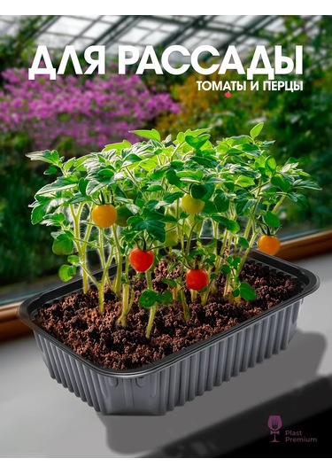 Ecopakplast Tepsiler Tek Kullanımlık Plastik Kapaklı 750 Ml 100 Adet 126040306 100