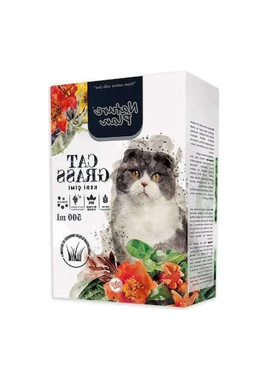500 Ml Kedi Çimi, Doğal Ve Sağlıklı