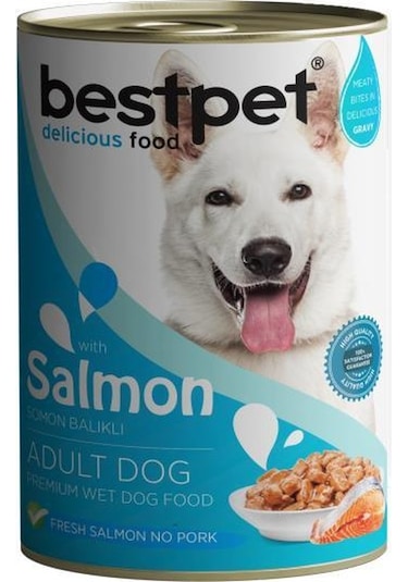 Bestpet Somonlu Konserve Yetişkin Köpek Maması 400 G