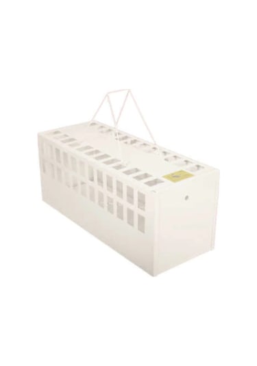 Kedi Canlı Yakalama Kapanı