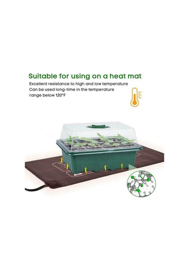 Lebihmurah 1834 2x Tohum Başlangıç Tepsileri Fide Tepsisi 12 Hücreli Nem Ayarlanabilir Bitki Başlangıç Kiti Kubbe Sera Yetiştirme Tepsileri Yeşil