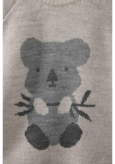 Defacto Erkek Bebek 2li Takım Hayvan Desenli Triko Kazak Çizgili Alt C9590a525augr503 Gri