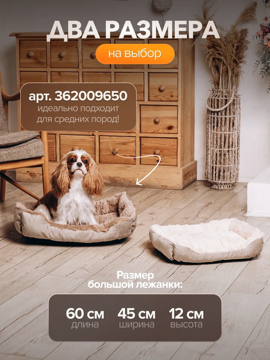 Petfort Kedi Ve Köpekler İçin Yatak 362009655