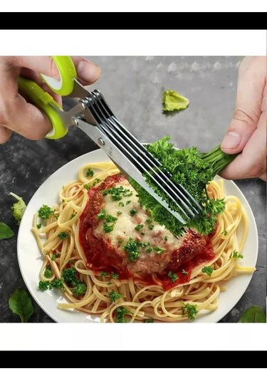 Youmex Yeşil 5 Bıçaklı Nane, Kereviz, Fesleğen Kesici Bıçak - Paslanmaz Çelik, Kaygan Korumalı Kollü, Temizlik Fırçası İçeren Mutfak Makinesi Diğer