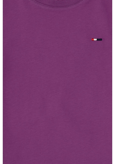 U.s. Polo Assn. Erkek Çocuk Menekşe Tişört Basic 50306548-vr037 Menekse Mor