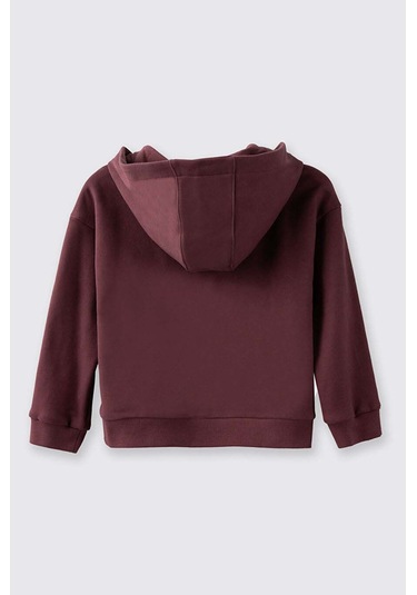 Panço Fermuarlı Bordo Kız Çocuk Sweatshirt 2521gb08023 Bordo