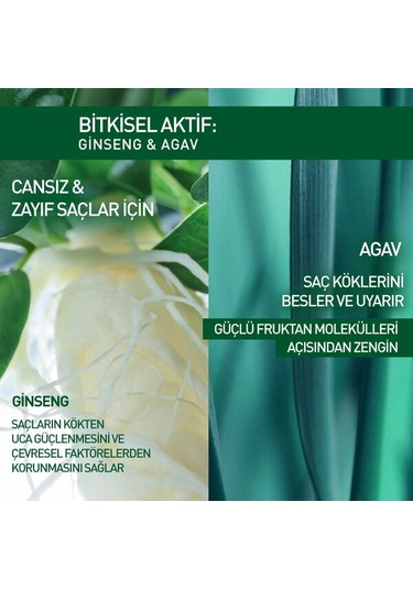 Yves Rocher Ginseng Serum 75 ML