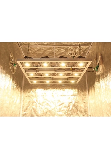 Citi 12 320w Full Spectrum Grow Led Lamba