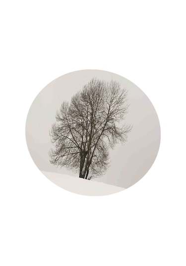 Suntek 140cm Dia Masalar Için Masa Örtüsü Restoran M