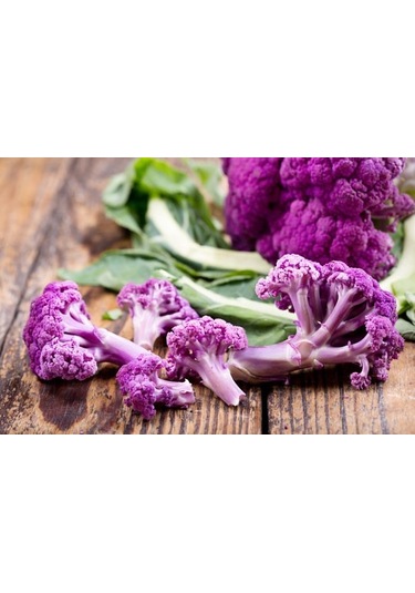 Sicilya Mor Karnabahar Tohumu