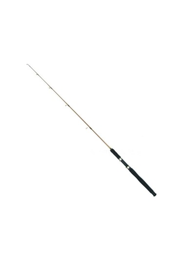 Silverstar Mustang 5-10 Lb 2 Parça Dolgu Kamış Boy: 1.25 Mt