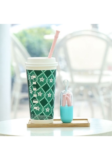 Skycity Yiyecek Kalitesi Silikon Katlanabilir Pipet Seti: Taşınabilir Kapsül Kutusu + Temizleme Fırçası - Küçük Gri