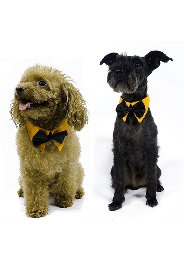 Homyl Ayarlanabilir Pet Köpek Tasması Köpekler Turuncu-s Turuncu