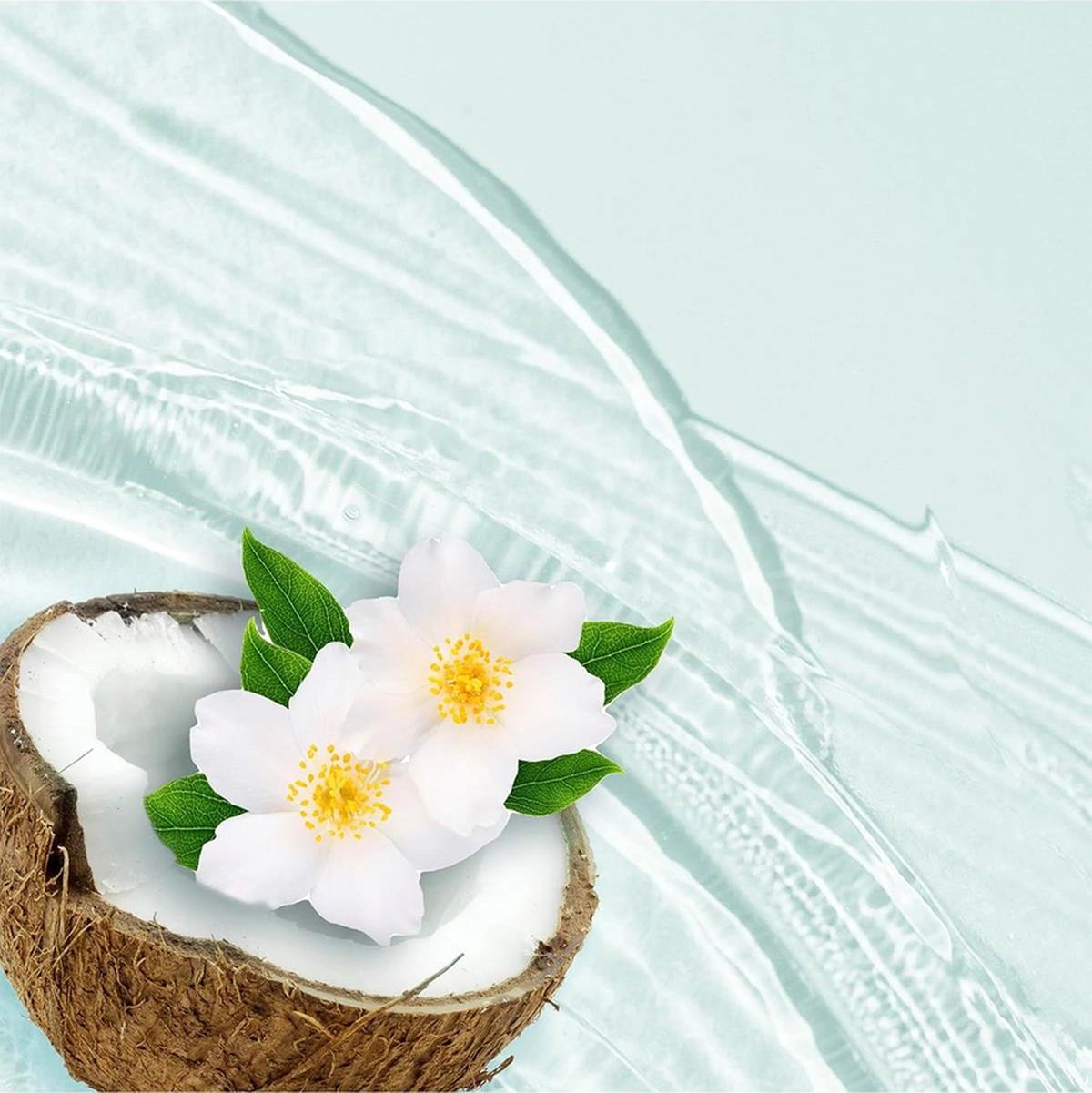 Herbal Essences Coconut Water Nemlendirici Şampuan 865ml Tüm Saç Tipleri