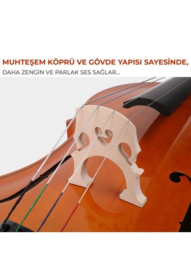 Midex Gt-124m Profesyonel Üst Kalite Maun Çello Viyolonsel