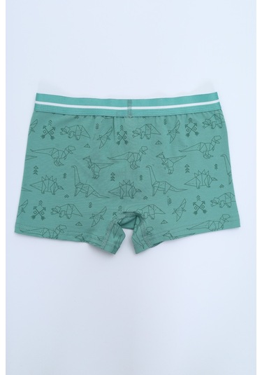 Toontoy Erkek Çocuk Garni Dikişli 4lü Paket Boxer Çok Renkli