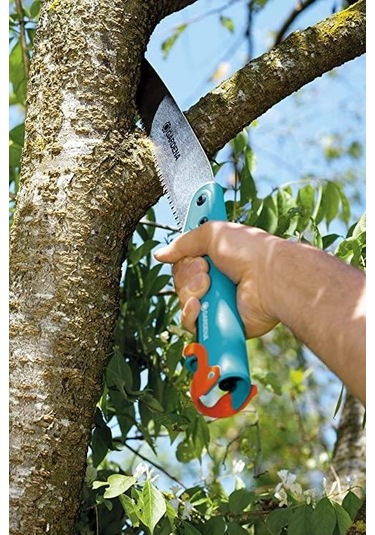 Bahçe Bahçıvan El Testeresi