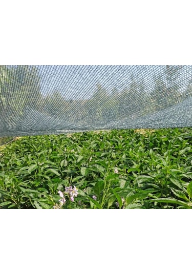 Morilu Gölgelik File - 40'Lık Çit Filesi - Yeşil - Bahçe Gölgelik - Balkon Gölgeliği - Çit Örtüsü - Yeşil File