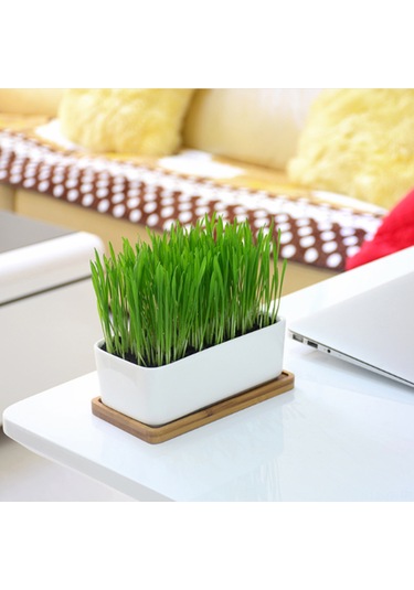 Yifomall Beyaz Seramik Dikdörtgen Saksı - Bambu Tepsi İle Minimalist Sukulent Ve Çiçek Saksısı