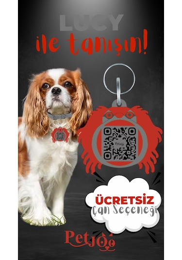 Petjoo 11.Lucy Kırmızı-Gri Qr'lı Köpek Künyesi
