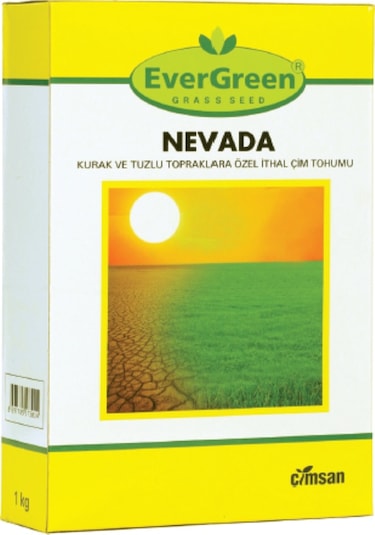 4'Lü Karışım Çim Tohumu Nevada Çim Tohumu 1 KG