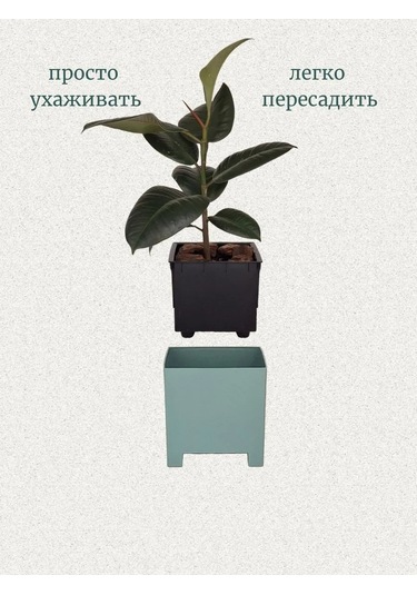 Live-in-green 2l Ve 5,5l Plastik Çiçek Saksısı S 414356145