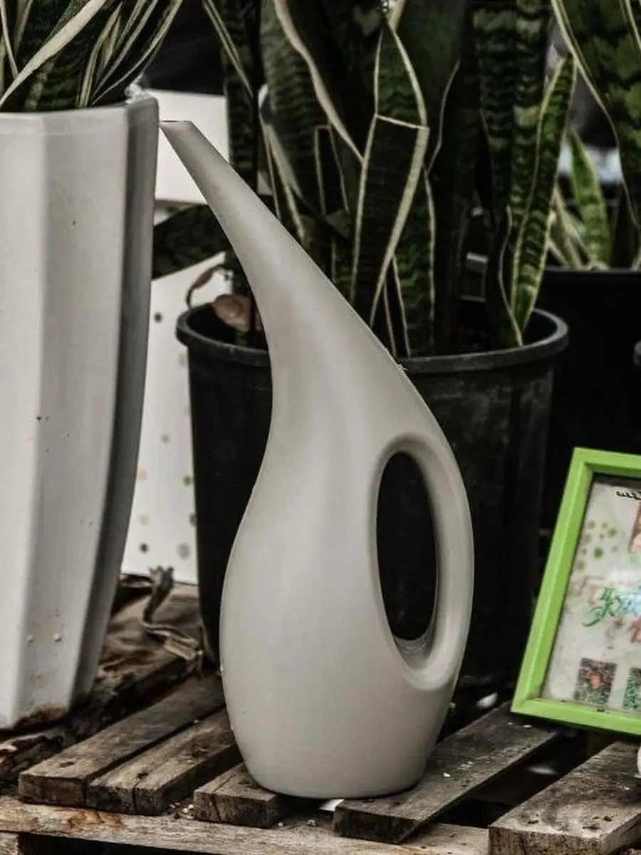 Zeytin Home İç Mekan Çiçekleri İçin Sulama Kasesi 75979411