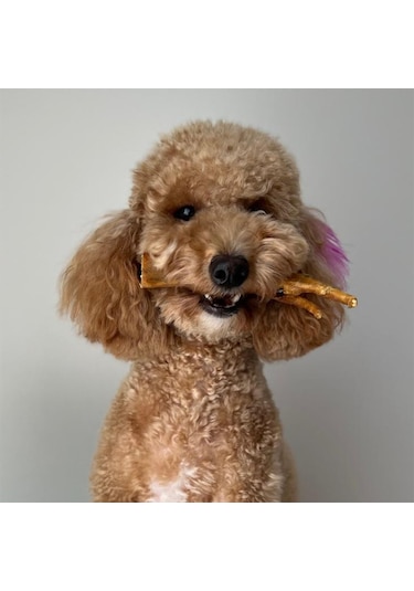 Kito Horoz Ayak Yetişkin Köpek Ödül Maması 100 G