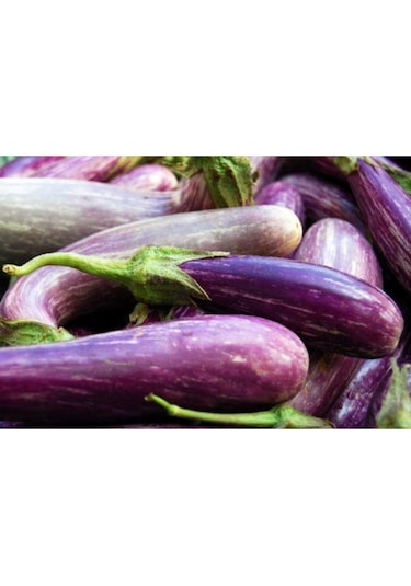 Süper Paket 150 Tohum Nadir Ithal Benekli Kemer Patlıcan Tohumu