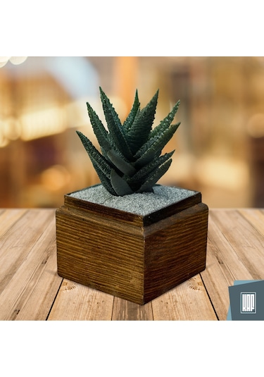 Kaf Ahşap Dekoratif Mini Saksı / Küp / Kahverengi