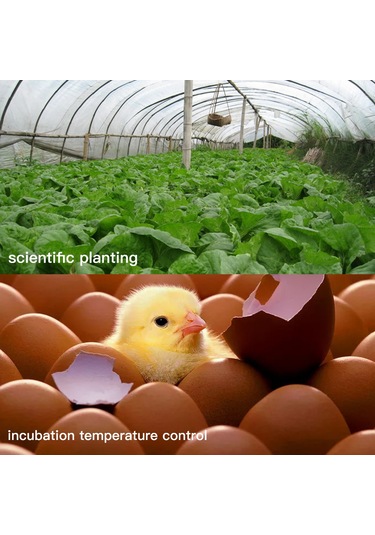 Kangvka Kr-102 Akıllı Sıcaklık Kontrol Cihazı -55 C/+120 C Aralığında Soğutma/ısıtma, 12v 10a, Lcd Ekranlı, Ntc Sensörlü