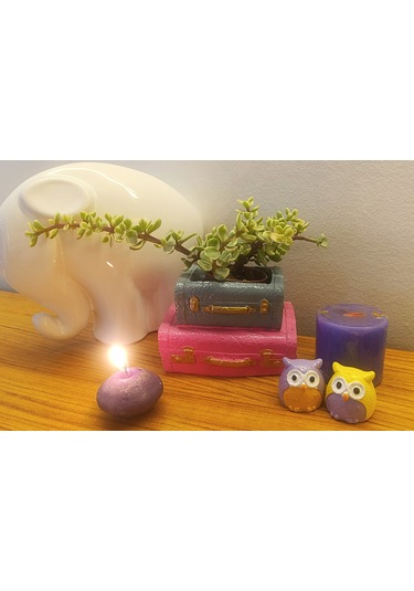 Artepieza Vintage Çift Bavul Saksı- Masaüstü Düzenleyici- Dekoratif Bavul Kalemlik Pembe-gri 12 8 1 Adet