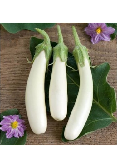 Eko Paket Beyaz Kemer Patlıcan Tohumu Kemer Patlıcan Tohumu 30 Adet Tohum