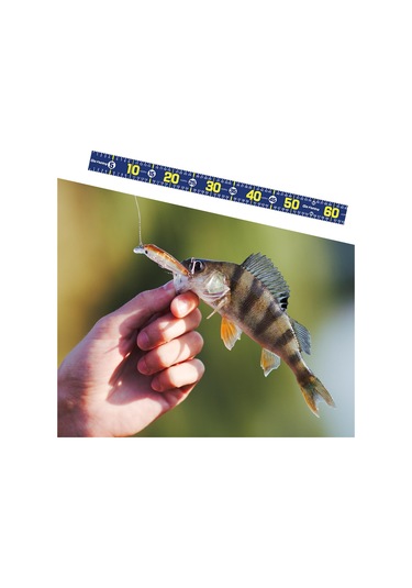 Homyl Balık Ölçme Aracı 51.18 '' Tekne Yelkenliler Koyu-mavi