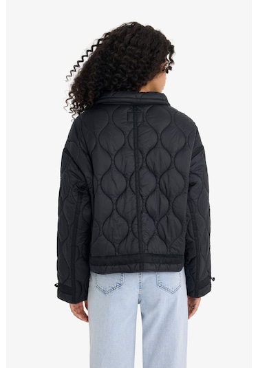 Defacto Su Geçirmez Regular Fit Fermuarlı Kapitoneli Mont E8674ax25aubk27 Siyah