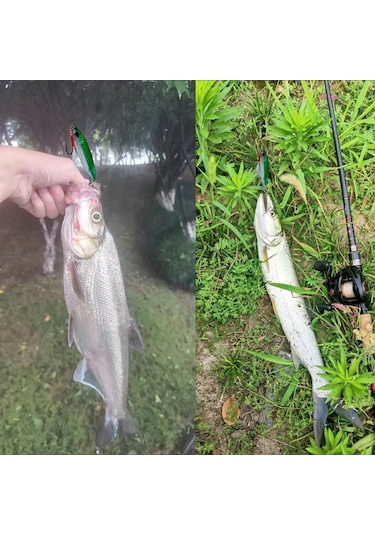 5 Adet Balıkçılık Yemi Seti Açık Deniz Balıkçılığı Trolleme Tekne Balıkçılığı Yapay Yem Seti Simüle Balıkçılık Yemi Balıkçılık Aksesuarı